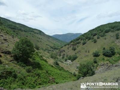 Parque Nacional Monfragüe - Reserva Natural Garganta de los Infiernos-Jerte;viajes en julio